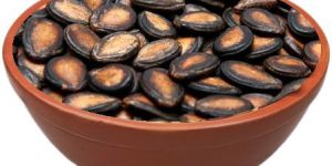 Richbloom Watermelon Seeds