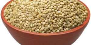 Richbloom White Sesame Seeds