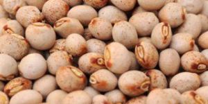 Imported Pigeon Peas