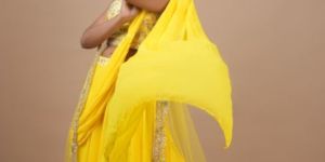 Ladies Designer Net Lehenga Choli