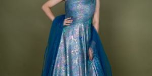 Ladies Stylish Gown