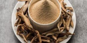 Organic Amchur Powder