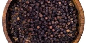Organic Black Pepper Seeds