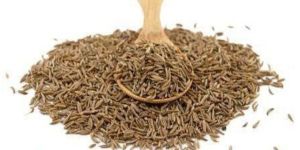 Organic Caraway Seeds