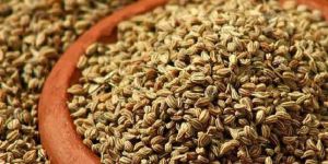 Organic Carom Seeds