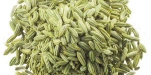 Organic Fennel Seeds