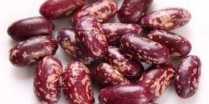 Organic Kashmiri Kidney Beans