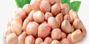 Organic Peanut Seeds