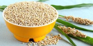 Organic Sorghum Seeds