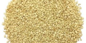 Organic White Sesame Seeds