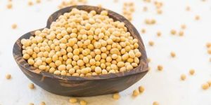 KDS 726 Research Soybean Seeds (Phule Sangam)