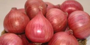 Nashik Red Research Onion Seeds