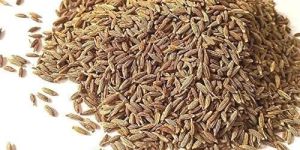 Organic Cumin Seeds
