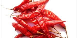 Dried Red Chillies