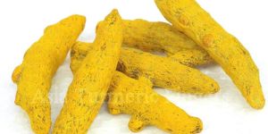 Turmeric Finger
