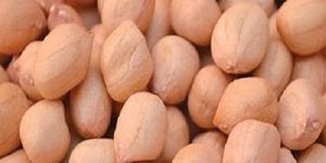 Java Peanuts