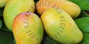 Pure Kesar Mango