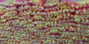 Plastic Toys for Kids