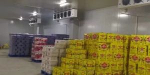 Fruits Cold Storage Services