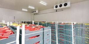 Industrial Cold Storage System