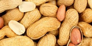 Peanut
