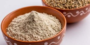 Pearl Millet Seed Powder