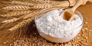 Wheat Powder