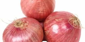 Fresh Red Onion