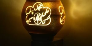 C 11 Electrical Camphor Diffuser