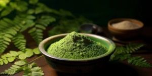 Moringa Oleifera Powder
