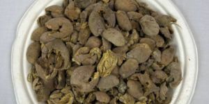 Baheda (Terminalia Bellirica)