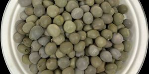 Gataran (Caesalpinia Crista Seeds)