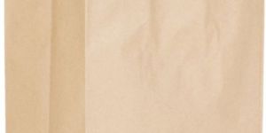 Plain Paper Carry Bag