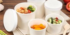 Plain Paper Food Container