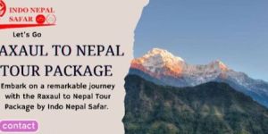 Family Tour Services