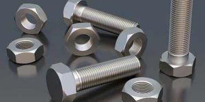 Stainless Steel Hex Bolt