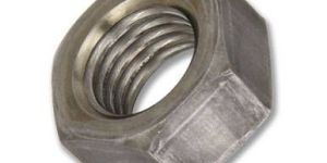 Stainless Steel Nuts