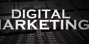 Digital Marketing Training