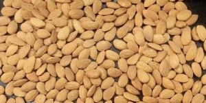 Kashmiri Almonds
