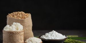 Micronutrients Premix