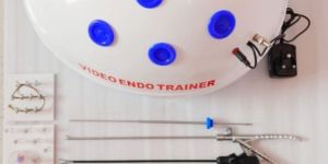 Oval Shape Endo Trainer