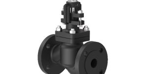 Globe Steam Stop Valve