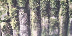 Designer Wallpaper