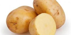 Fresh a Grade Potato