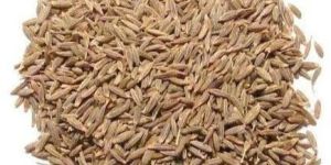 Cumin Seeds