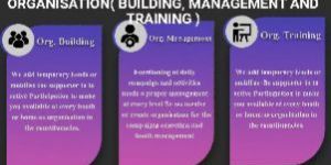 Social Media Management Services