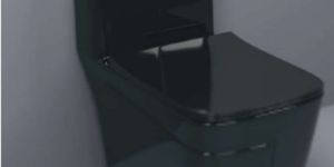 Floor Mounted Ceramic Toilet Seat