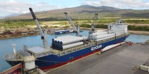 Break-Bulk Cargo Handling Service