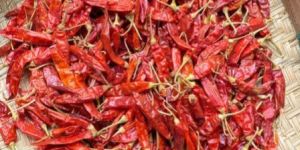 Chillies