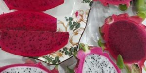 Dragon Fruit